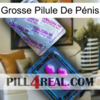 Grosse Pilule De Pénis 37
